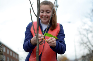 Members of the SUNY-ESF and SU community gathered Saturday to plant more than 80 trees in the university community.