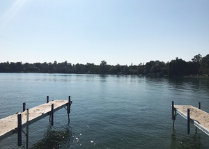 Harmful freshwater algae blooms, like the one in Skaneateles Lake, are called cyanobacteria or blue green algae. 